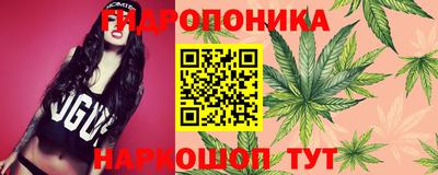 первитин Бердск
