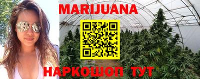 PSILOCYBIN Брянск